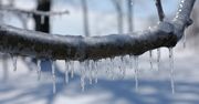 W piątek w całym kraju opady śniegu i deszczu ze śniegiem. W kolejnych dniach miejscami będzie mroźno