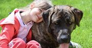 Obecność psów i terapia śmiechem przyspieszają powrót dzieci do zdrowia. Na takie rozwiązania decyduje się coraz więcej szpitali