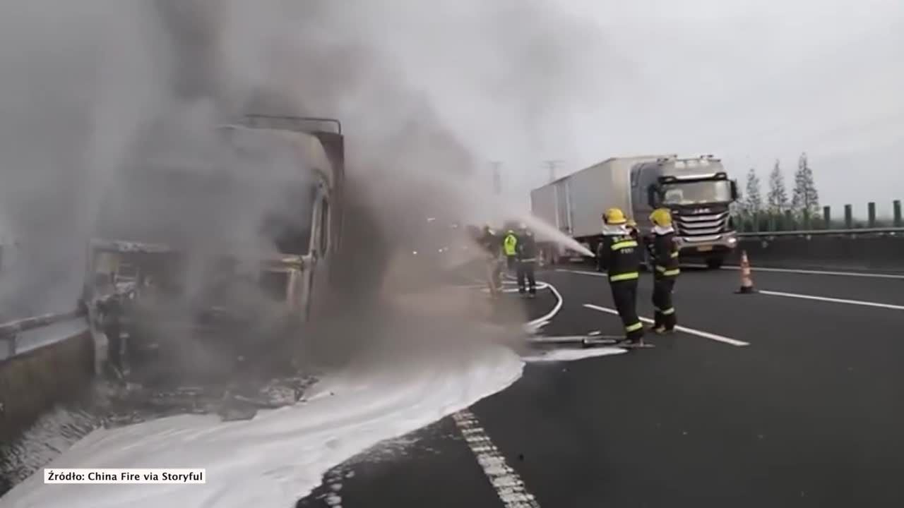 Pożar ciężarówki przewożącej świnie na autostradzie w Chinach. Uratowano jedno zwierzę