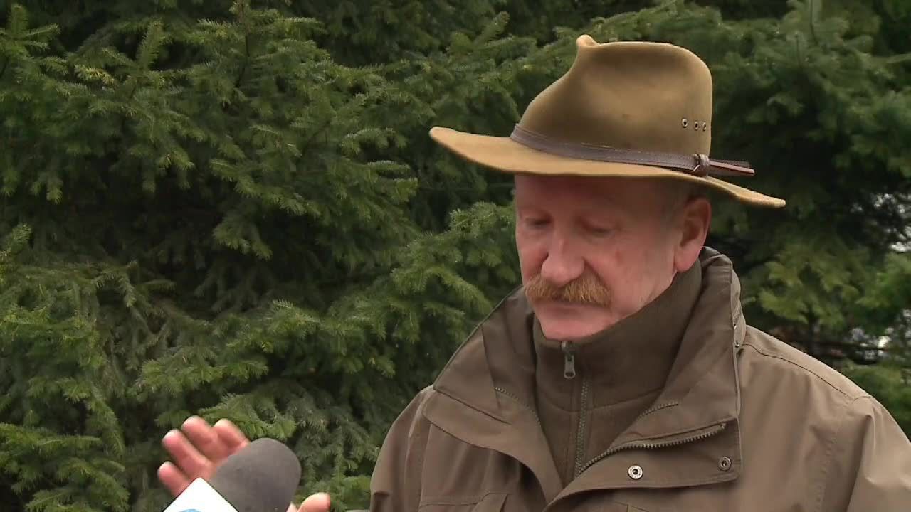 Liczne obrażenia głowy, przedramienia i uda po ataku niedźwiedzia w Bieszczadach