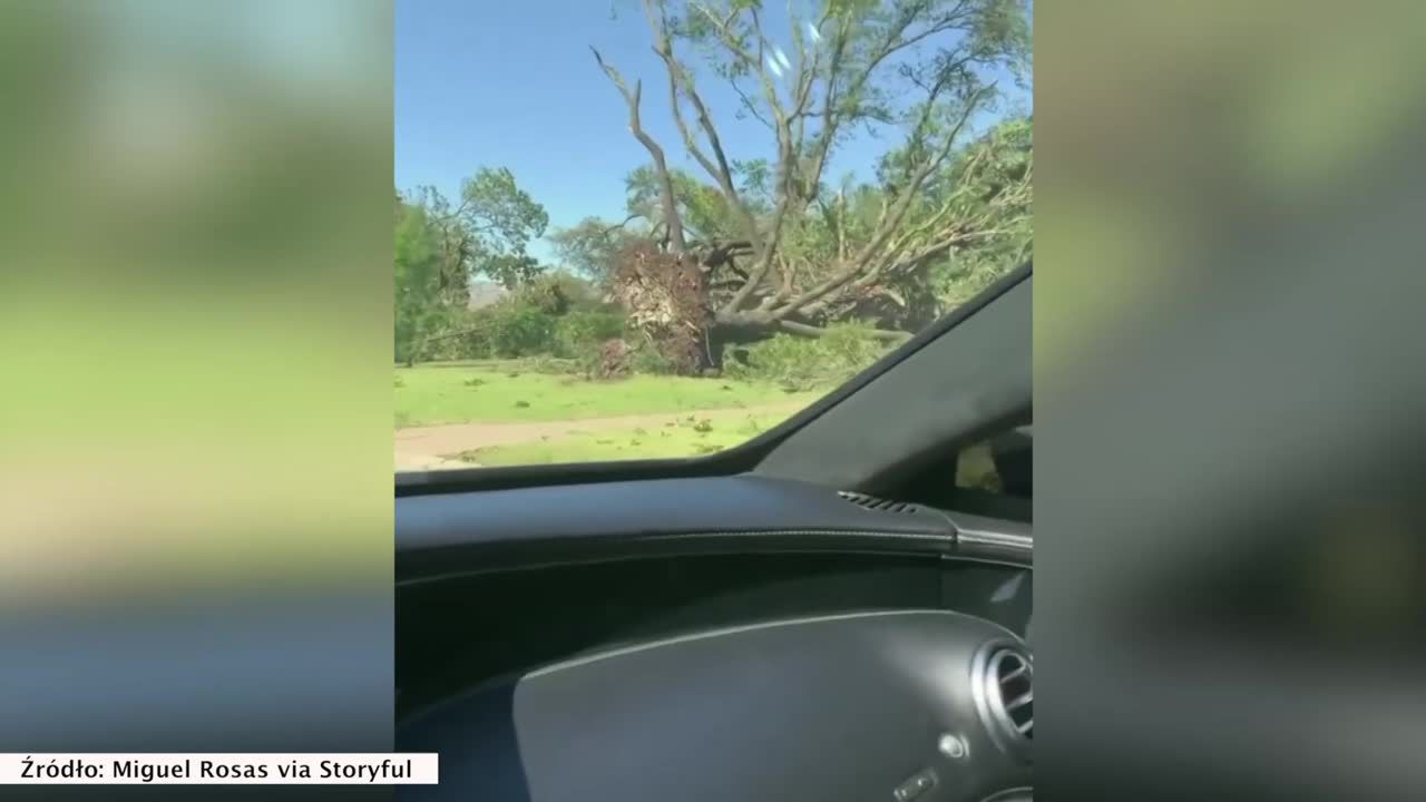 Rosły dziesiątki lat, tornado połamało je w kilka sekund. Zniszczone drzewa przy drogach w Teksasie