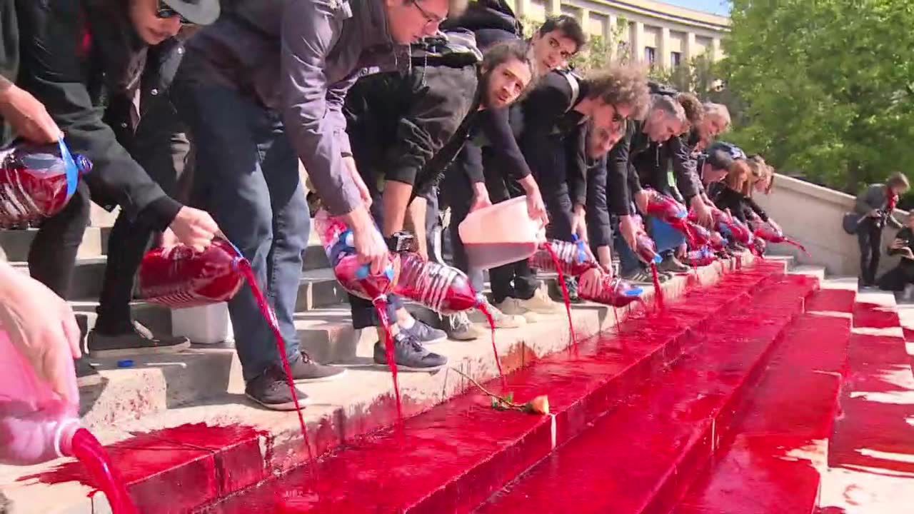 Aktywiści wylali na schodach Trocadero czerwoną farbę. Symbolizuje krew zwierząt zagrożonych wyginięciem