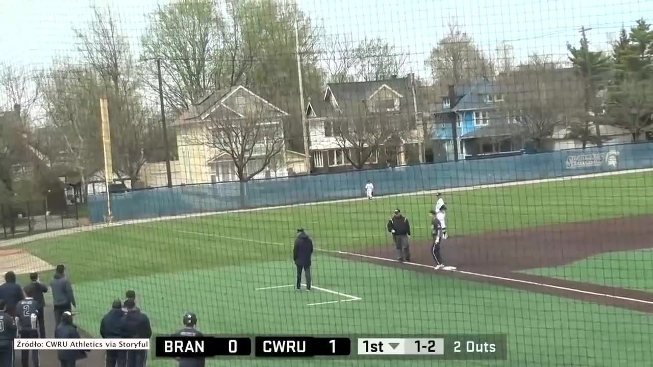 Zamiast na rykowisku, na… boisku. Jelenie przeskoczyły przez płot i przeszkodziły w meczu baseballa