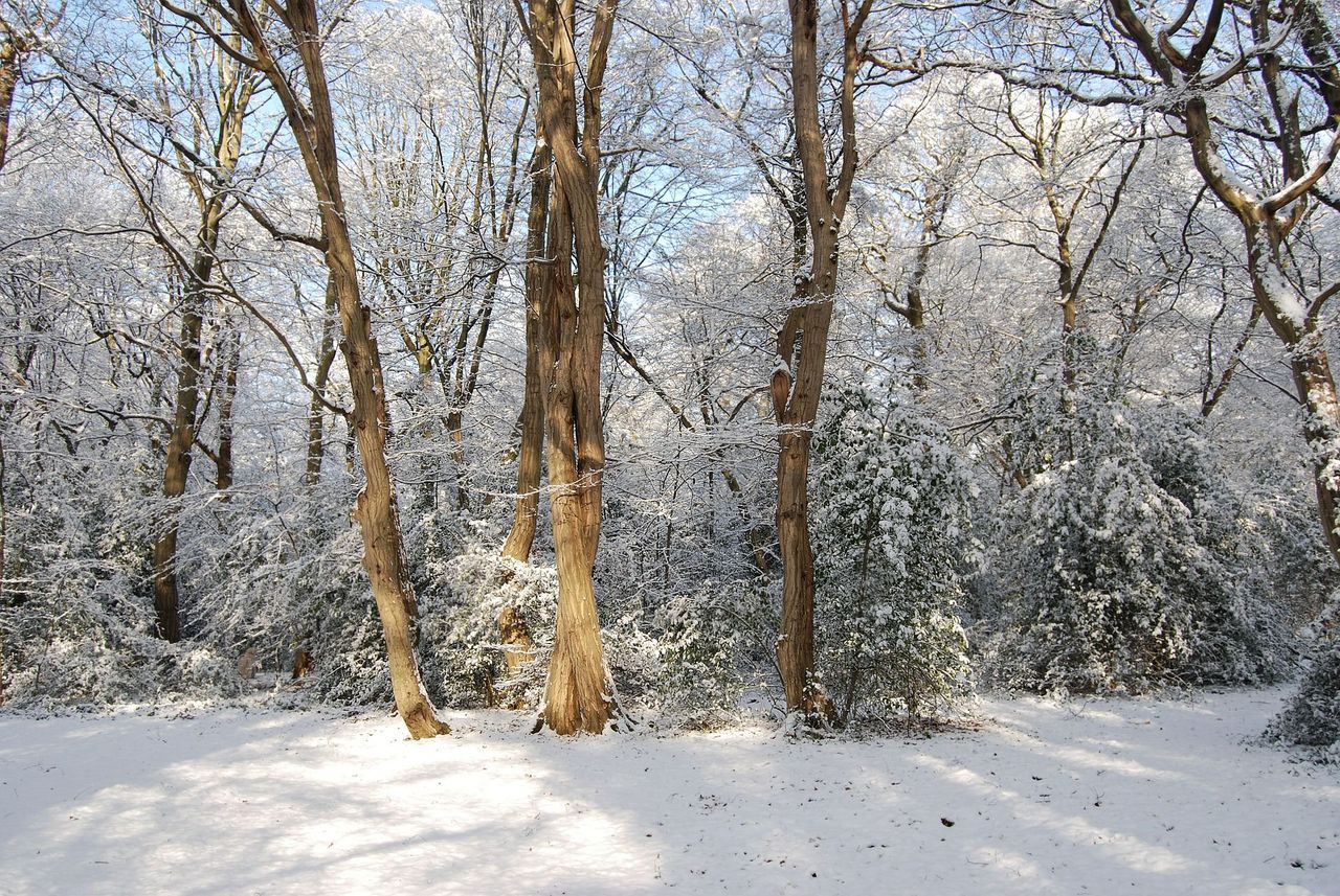 W niedzielę możliwy śnieg