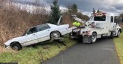 Pies za kierownicą pędzącego 170km/h auta. Pościg policji w USA