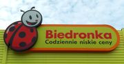 Biedronka – wiadomo jakie gry w promocji