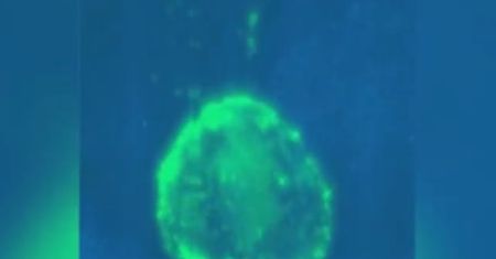 Tak komórki HIV "strzelają", żeby zarazić. Naukowcy uchwycili ten moment