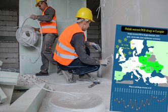 Polska zielona wyspa. W Unii na drugim miejscu mimo spowolnienia
