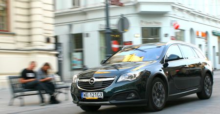 Zieloni w Niemczech chcą zakazać samochodów z silnikami spalinowymi
