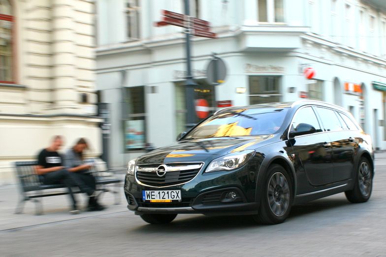 Zieloni w Niemczech chcą zakazać samochodów z silnikami spalinowymi