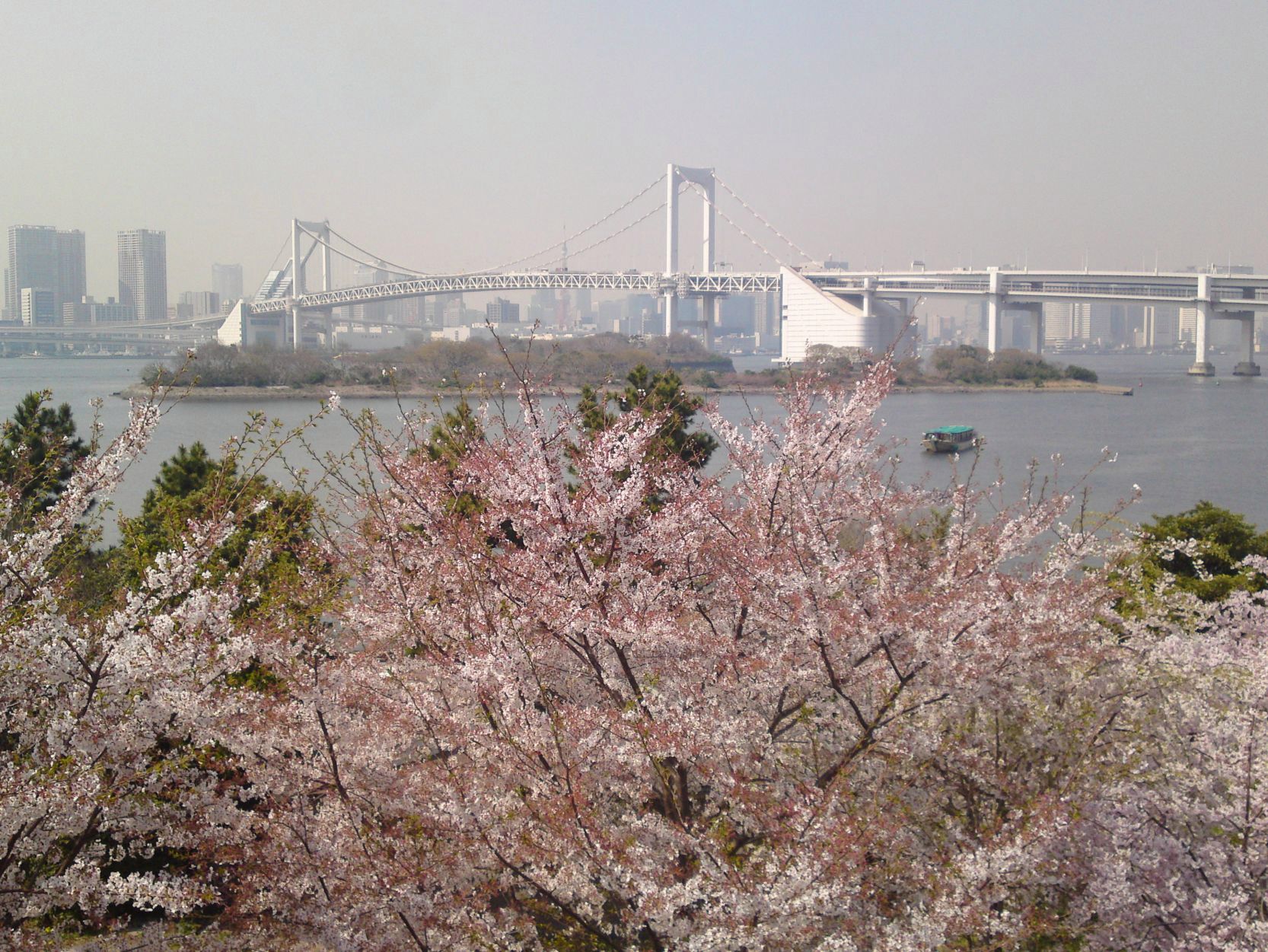 Xperia Z1 Compact vs stare sony ericssony - zaskakujące wyniki fotoporównania 20