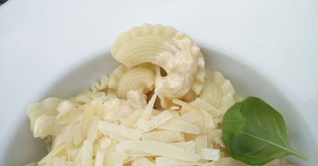 Makaron z serem z sosem serowym (nieprzygotowany)