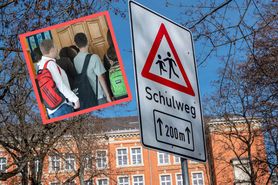Braki w edukacji niemieckich uczniów? O wojnę obwiniają Polaków