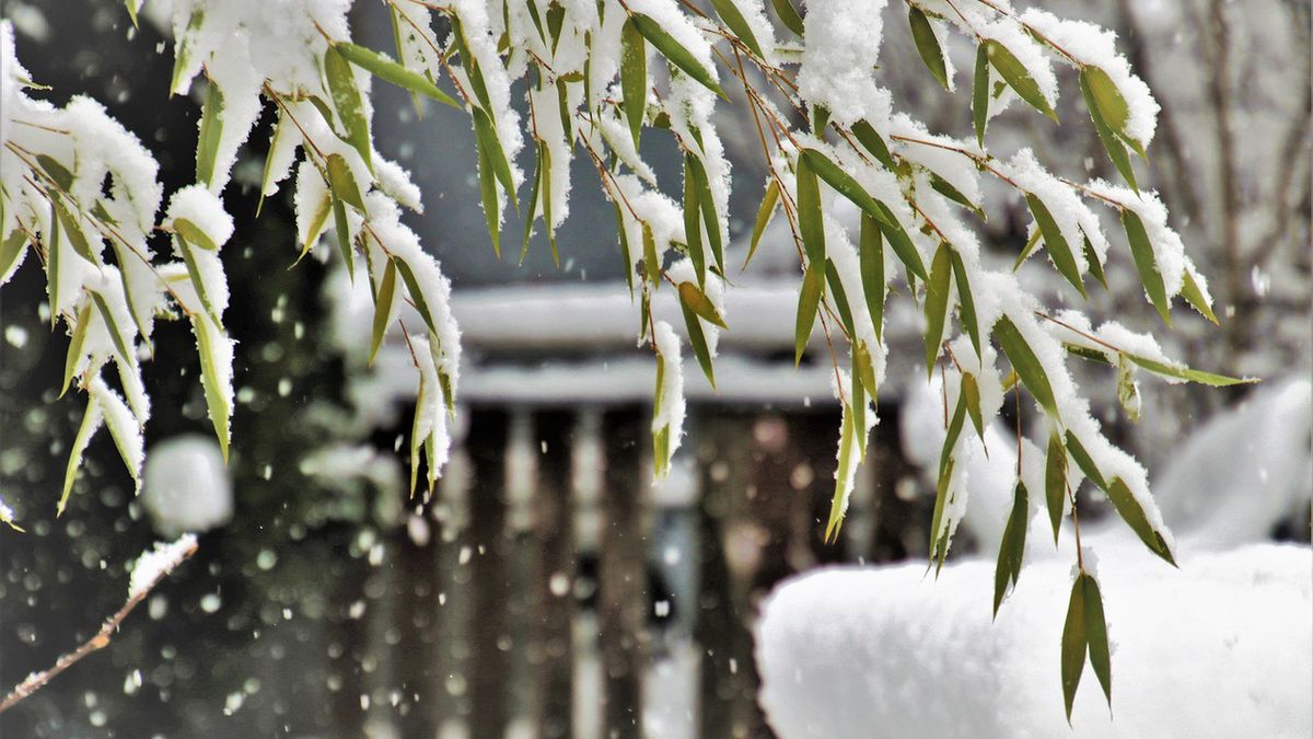 Nad część Polski lada dzień zawita zimowa aura