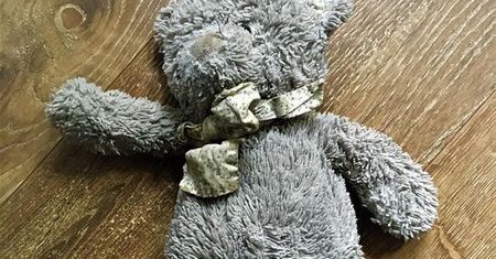 Nietypowa prośba ojca. Szuka misia. Powód chwyta za serce