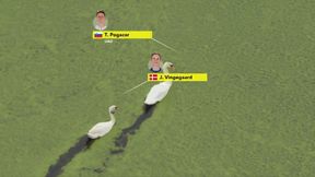 Łabędzie skradły show na trasie Tour de France. Faworyci "zmierzyli się na jeziorze"  [WIDEO]