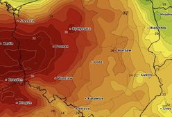 "Hiszpański pióropusz" już nad Polską. Prognoza pogody na weekend