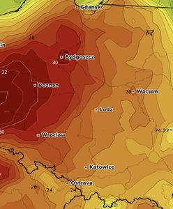 "Hiszpański pióropusz" już nad Polską. Prognoza pogody na weekend