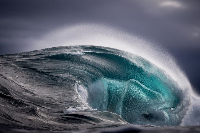 Prace Collinsa są wyróżniane i wygrywają w prestiżowych międzynarodowych konkursach, takich jak „Smithsonian - Annual Photo Contest" (2015), „American Aperture Awards" - Landscape/Seascape/Nature (2015), „The Ocean Art Photo Competition" (2015), „Ocean Geographic - Pictures of the year" (2013) czy „Australian Surf Photo of the Year" (2012).
