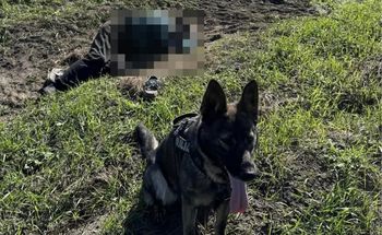 Senior leżał na polu. Finał nocnych poszukiwań 86-latka