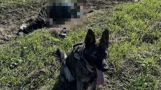 Senior leżał na polu. Finał nocnych poszukiwań 86-latka