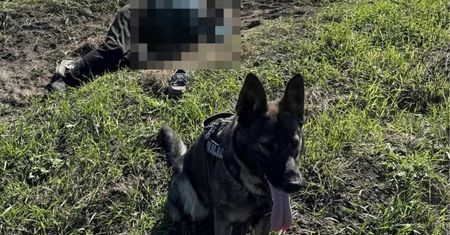 Senior leżał na polu. Finał nocnych poszukiwań 86-latka
