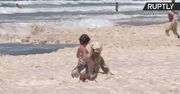 Niezwykle gęsta piana na argentyńskich plażach