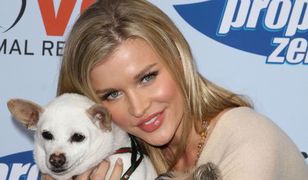 Pieskie życie Joanny Krupy