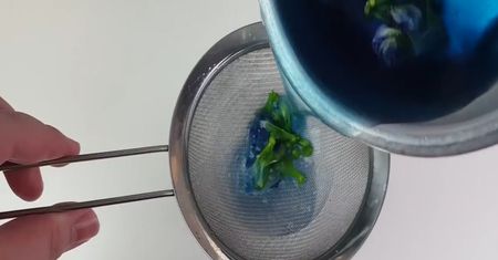 Butterfly Pea Tea - niebieska herbata