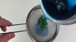 Butterfly Pea Tea - niebieska herbata