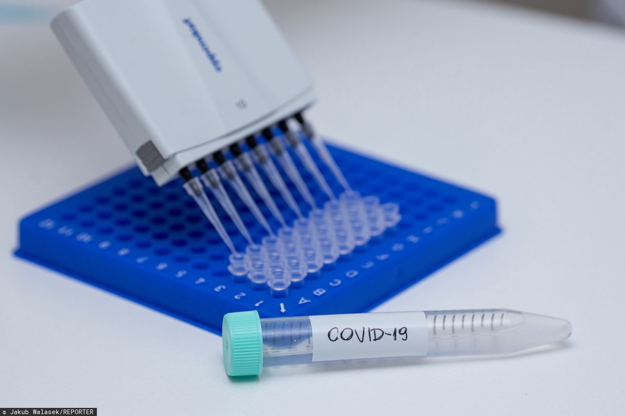 Nowa mutacja koronawirusa zagrożeniem dla tworzonych szczepionek? Naukowcy próbują to wyjaśnić