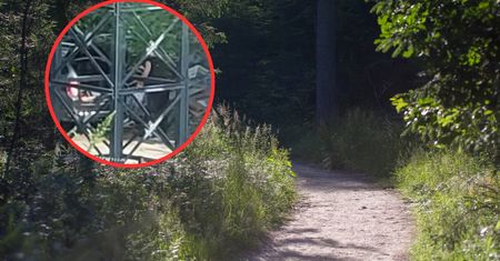 Zobaczyli go na tyłach Lidla. Oburzające zachowanie