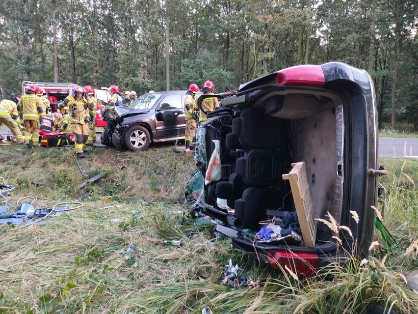 Groźny wypadek pod Poznaniem. Auto wjechało w jelenia, potem doszło do "czołówki"