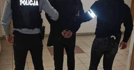 Włożyli kota do zamrażarki. Usłyszeli zarzuty za zabicie zwierzęcia