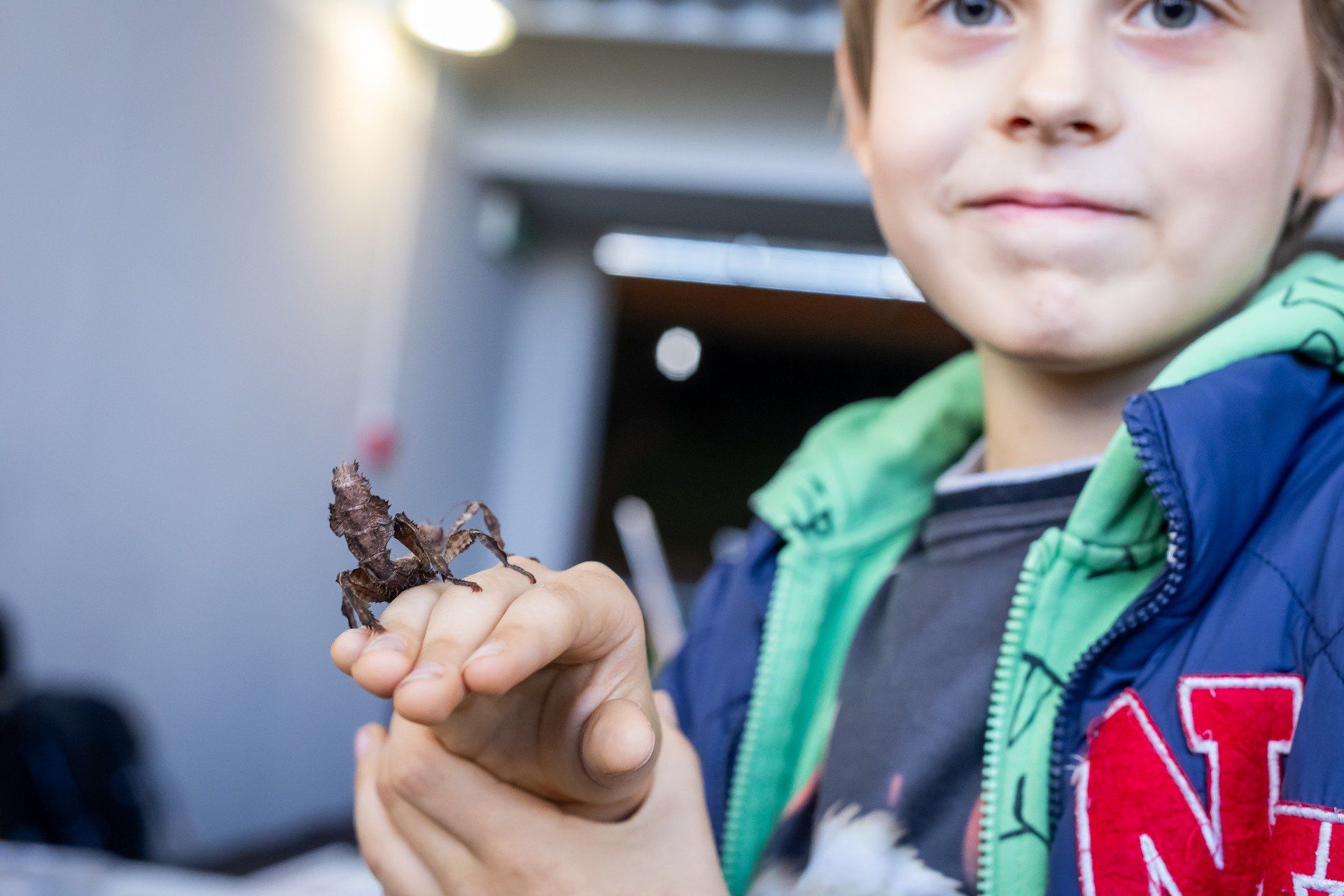 Przez dwa dni w Hali Sportowo-Widowiskowej &#34;Immobile Łuczniczka&#34; w Bydgoszczy odbywał się &#34;Event Terrarystyczny i Botaniczny Dragon Expo&#34;. Chętnych do obejrzenia egzotycznych zwierząt, a przy okazji kilku innych tematycznych wystaw, nie zabrakło.