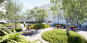 Bielsko-Biała: Miasto z dotacją 172 tys. zł na Zielony plac dla wszystkich