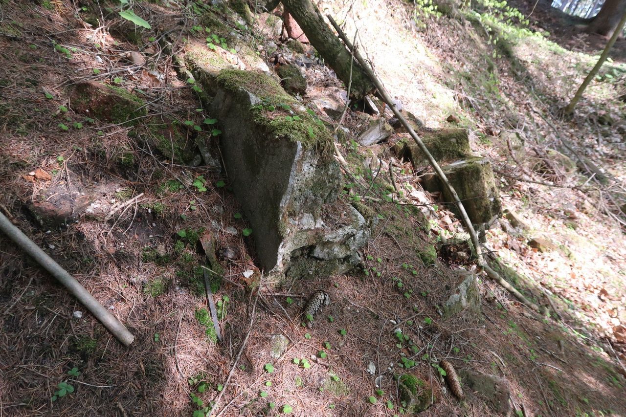 Tajemnicza ruina w lesie na Dolnym Śląsku. To było mauzoleum
