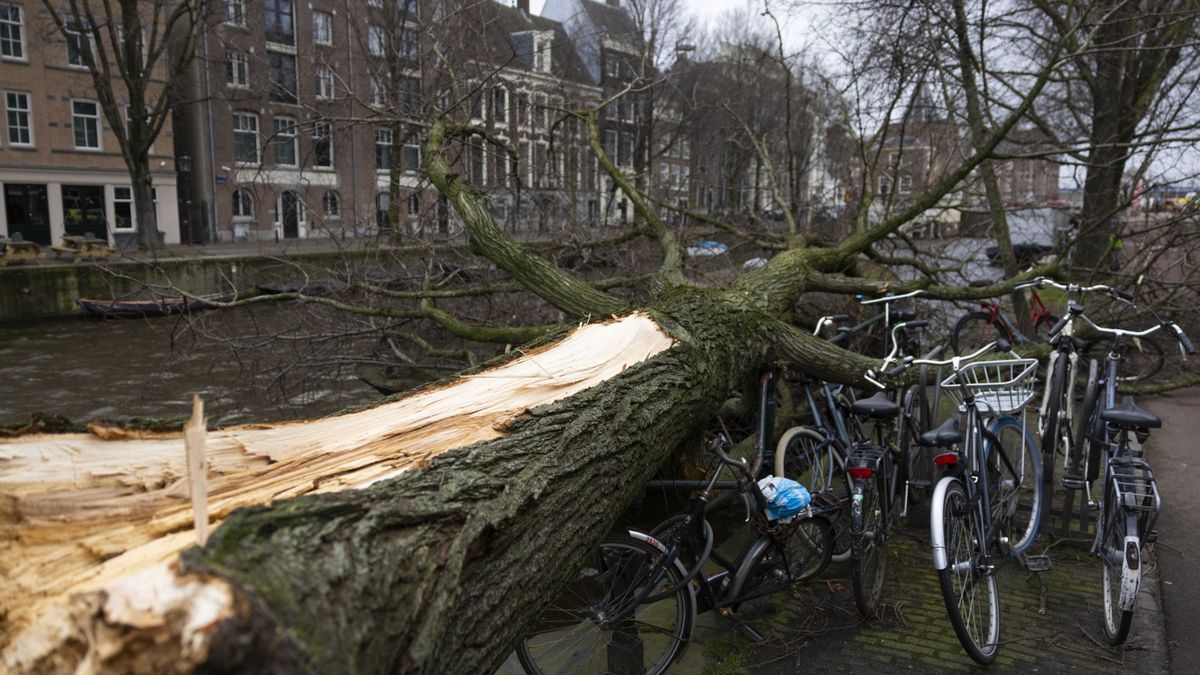 Amsterdam po przejściu orkanu Eunice