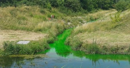 Zielona woda w ujściu Czechówki do Bystrzycy. LPEC wyjaśnia przyczynę nietypowego koloru wody