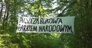 Ekolodzy rozpoczęli protest przeciwko wycince drzew w Puszczy Bukowej w Szczecinie