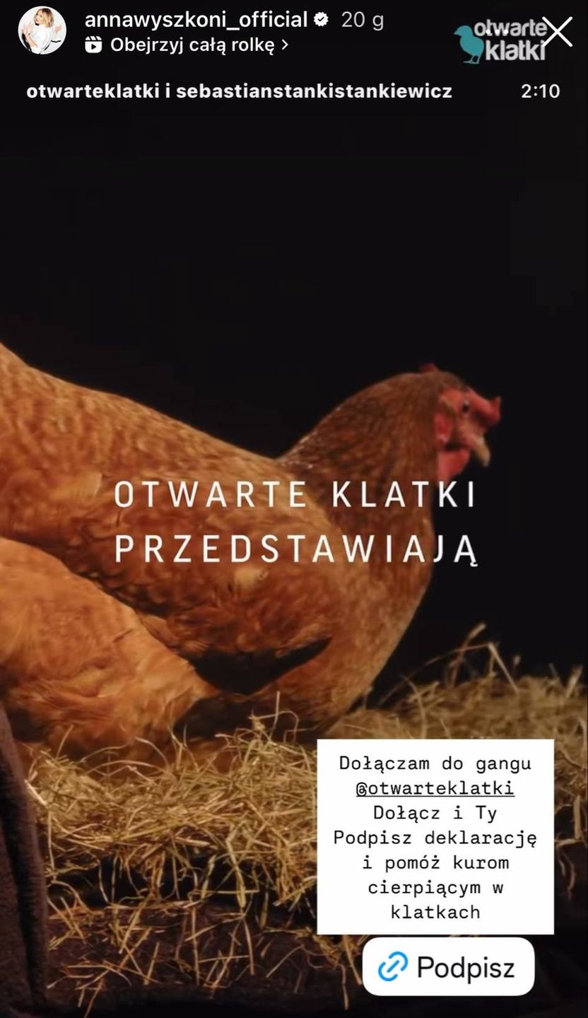 Wpis Anny Wyszkoni na Instagramie