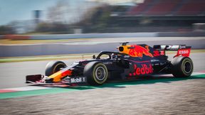 F1: Red Bull pewny swego. Silnik Hondy gwarancją sukcesu