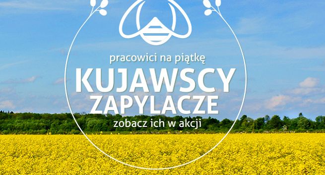 Kujawscy zapylacze w kampanii „Z Kujawskim pomagamy pszczołom”