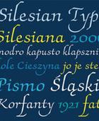 Język śląski wpisany do rejestru języków Biblioteki Kongresu Stanów Zjednoczonych