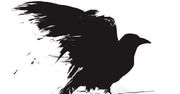 Chciałam oddać hołd Poemu - rozmowa z Kelly Creagh, autorką "Nevermore"