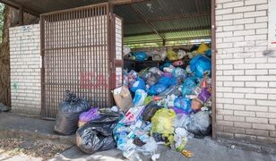 Kryzys śmieciowy nie tylko na Mokotowie. Z tym problemem może borykać się cała Warszawa
