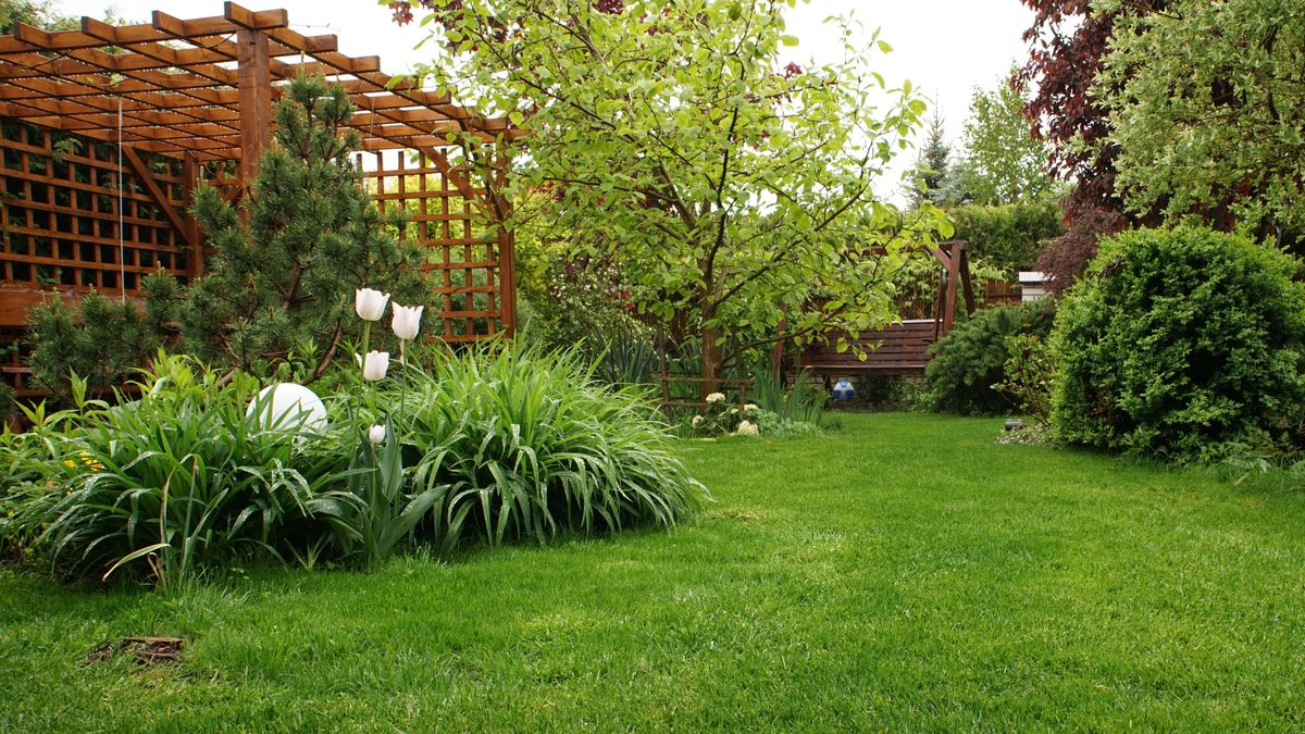 Domowy sposób na chwasty w ogrodzie