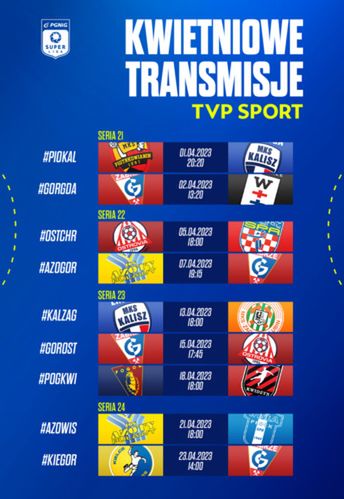 Materiały prasowe / PGNiG Superliga