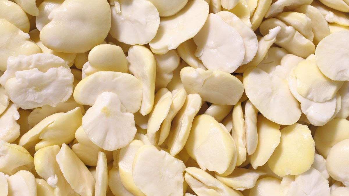 Co roku Polacy marnują cenny produkt. Porcja zdrowia ląduje w śmietniku