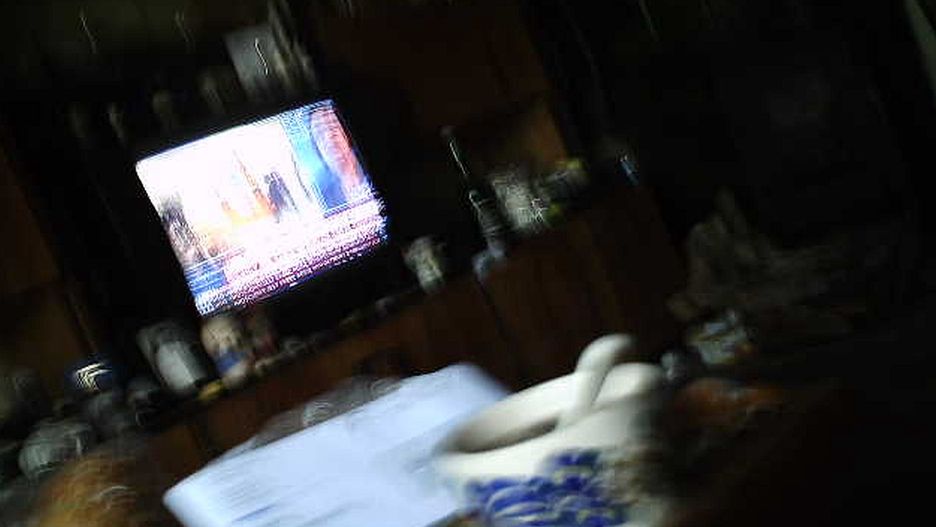 zdjęcie z fotopułapki
